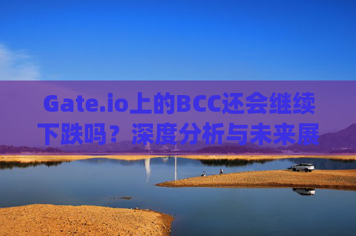 Gate.io上的BCC还会继续下跌吗？深度分析与未来展望 gate.iobcc还会跌不
