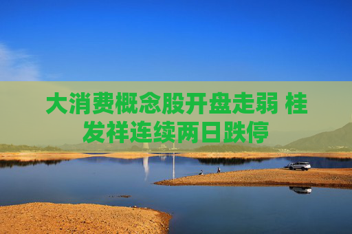 大消费概念股开盘走弱 桂发祥连续两日跌停