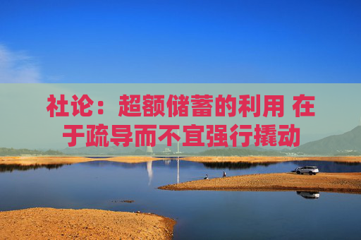 社论：超额储蓄的利用 在于疏导而不宜强行撬动