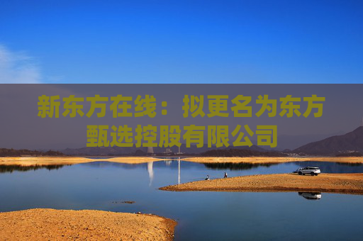 新东方在线：拟更名为东方甄选控股有限公司