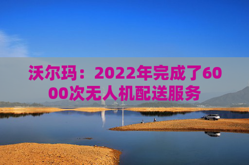 沃尔玛：2022年完成了6000次无人机配送服务