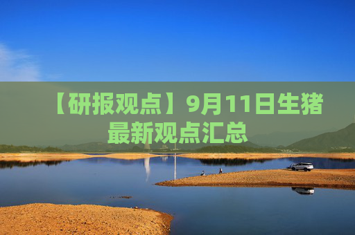 【研报观点】9月11日生猪最新观点汇总
