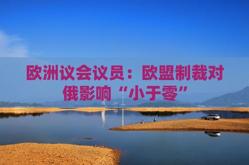 欧洲议会议员：欧盟制裁对俄影响“小于零”