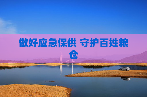 做好应急保供 守护百姓粮仓