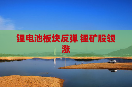 锂电池板块反弹 锂矿股领涨