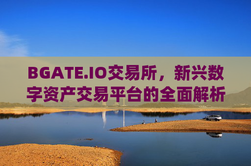 BGATE.IO交易所，新兴数字资产交易平台的全面解析 bgate.io交易所