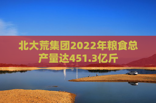 北大荒集团2022年粮食总产量达451.3亿斤