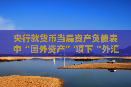 央行就货币当局资产负债表中“国外资产”'项下“外汇”科目有关情况答记者问