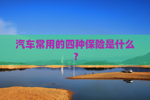 汽车常用的四种保险是什么？