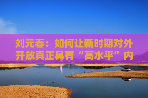 刘元春：如何让新时期对外开放真正具有“高水平”内涵