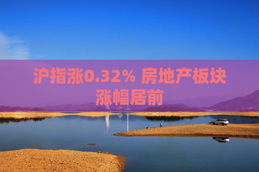 沪指涨0.32% 房地产板块涨幅居前