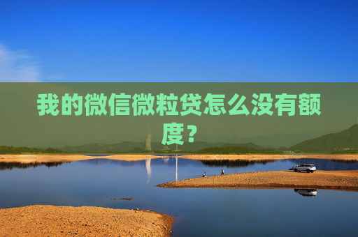 我的微信微粒贷怎么没有额度？