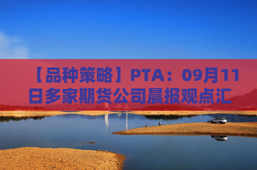 【品种策略】PTA：09月11日多家期货公司晨报观点汇总