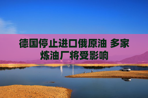 德国停止进口俄原油 多家炼油厂将受影响