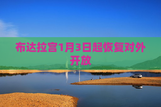 布达拉宫1月3日起恢复对外开放