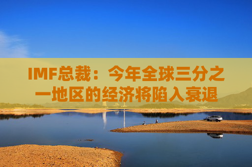 IMF总裁：今年全球三分之一地区的经济将陷入衰退