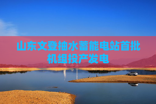 山东文登抽水蓄能电站首批机组投产发电