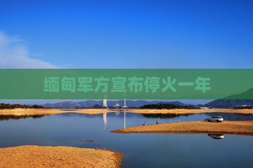 缅甸军方宣布停火一年