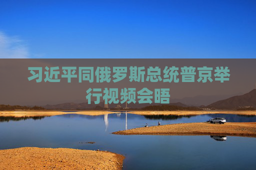 习近平同俄罗斯总统普京举行视频会晤