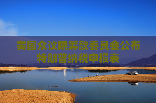 美国众议院筹款委员会公布特朗普纳税申报表