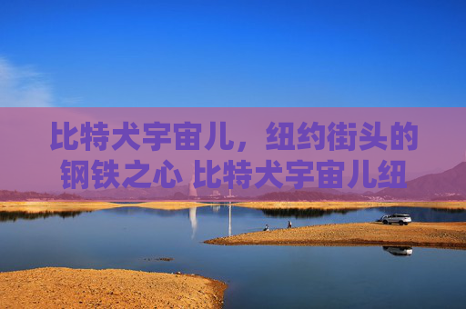 比特犬宇宙儿，纽约街头的钢铁之心 比特犬宇宙儿纽约
