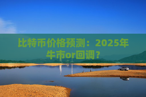 比特币价格预测：2025年牛市or回调？