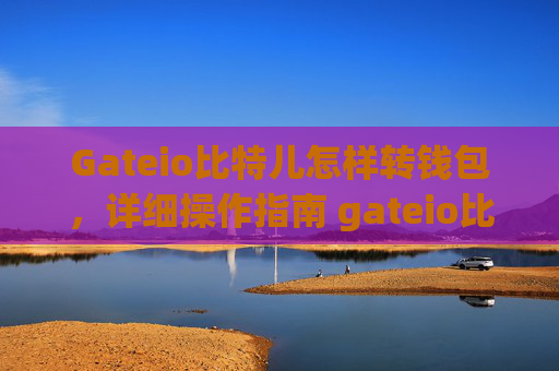 Gateio比特儿怎样转钱包，详细操作指南 gateio比特儿怎样转钱包