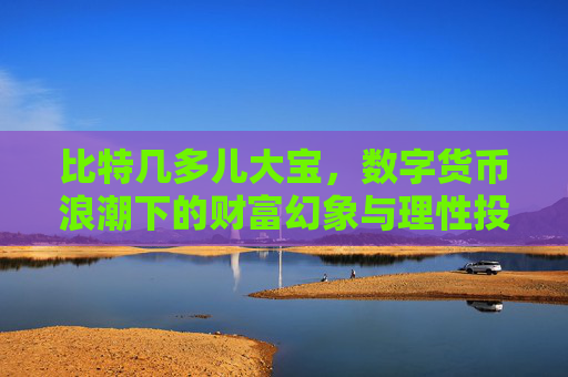 比特几多儿大宝，数字货币浪潮下的财富幻象与理性投资之道 比特几多儿大宝
