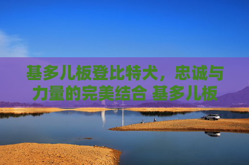 基多儿板登比特犬，忠诚与力量的完美结合 基多儿板登比特犬
