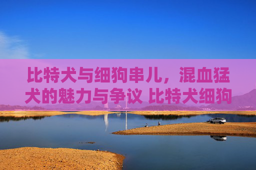 比特犬与细狗串儿，混血猛犬的魅力与争议 比特犬细狗串儿