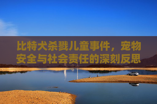 比特犬杀戮儿童事件，宠物安全与社会责任的深刻反思 比特犬杀戮儿