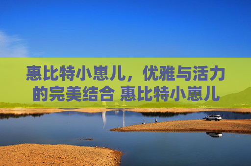 惠比特小崽儿，优雅与活力的完美结合 惠比特小崽儿
