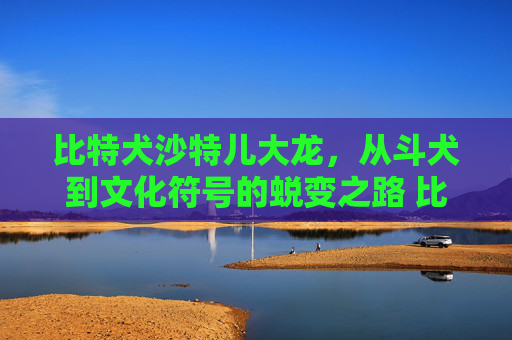 比特犬沙特儿大龙，从斗犬到文化符号的蜕变之路 比特犬沙特儿大龙