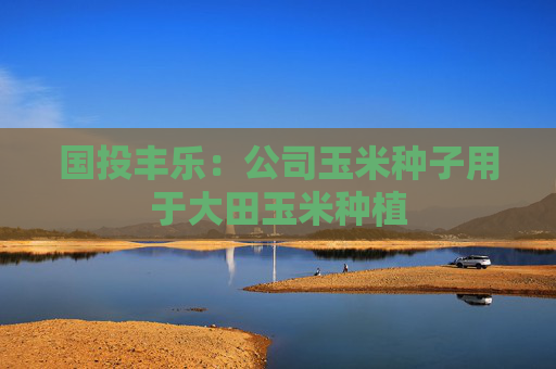 国投丰乐：公司玉米种子用于大田玉米种植