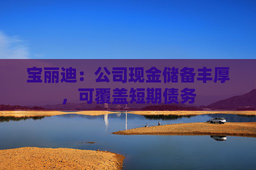 宝丽迪：公司现金储备丰厚，可覆盖短期债务