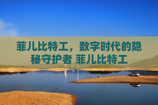 菲儿比特工，数字时代的隐秘守护者 菲儿比特工