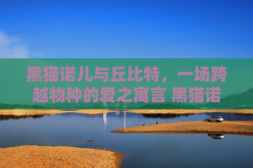 黑猫诺儿与丘比特，一场跨越物种的爱之寓言 黑猫诺儿与丘比特