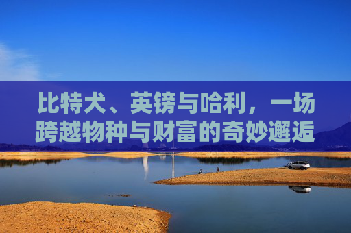 比特犬、英镑与哈利，一场跨越物种与财富的奇妙邂逅 比特犬英镑儿哈利