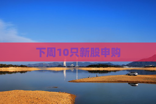 下周10只新股申购