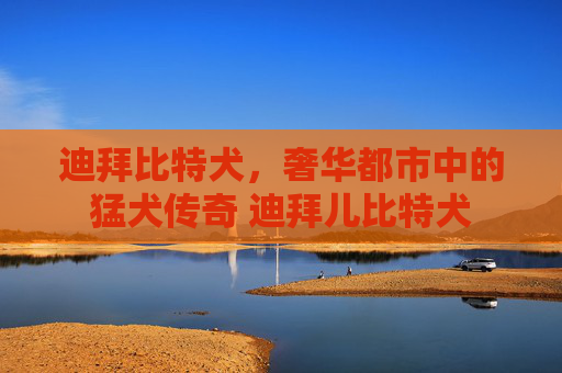 迪拜比特犬，奢华都市中的猛犬传奇 迪拜儿比特犬