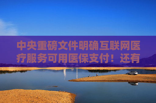 中央重磅文件明确互联网医疗服务可用医保支付！还有哪些症结未解