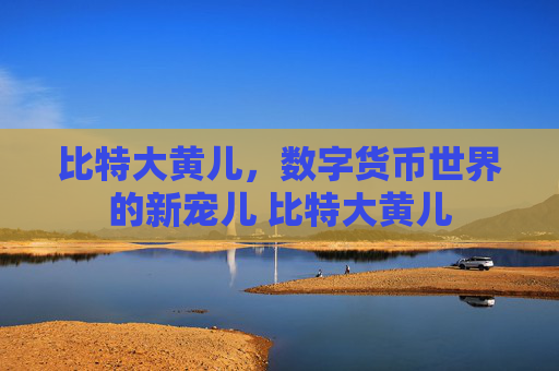 比特大黄儿，数字货币世界的新宠儿 比特大黄儿