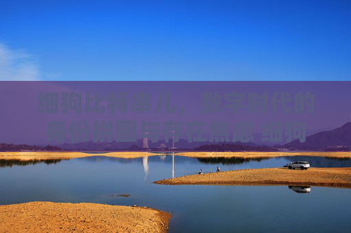 细狗比特串儿，数字时代的身份拼图与存在焦虑 细狗比特串儿