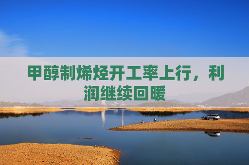 甲醇制烯烃开工率上行，利润继续回暖