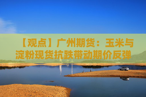 【观点】广州期货：玉米与淀粉现货抗跌带动期价反弹