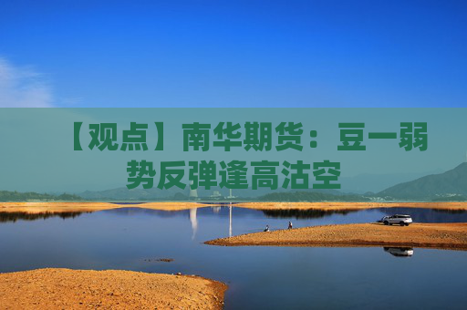 【观点】南华期货：豆一弱势反弹逢高沽空