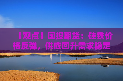 【观点】国投期货：硅铁价格反弹，供应回升需求稳定趋势观察