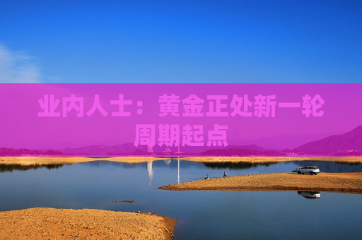 业内人士：黄金正处新一轮周期起点