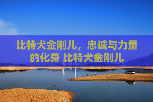 比特犬金刚儿，忠诚与力量的化身 比特犬金刚儿
