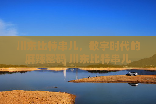 川东比特串儿，数字时代的麻辣密码 川东比特串儿